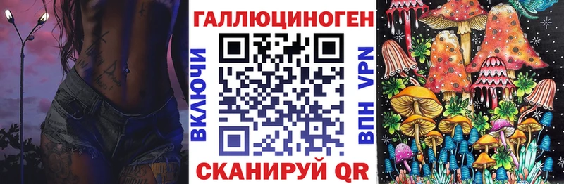 как найти закладки  Разумное  Псилоцибиновые грибы GOLDEN TEACHER 